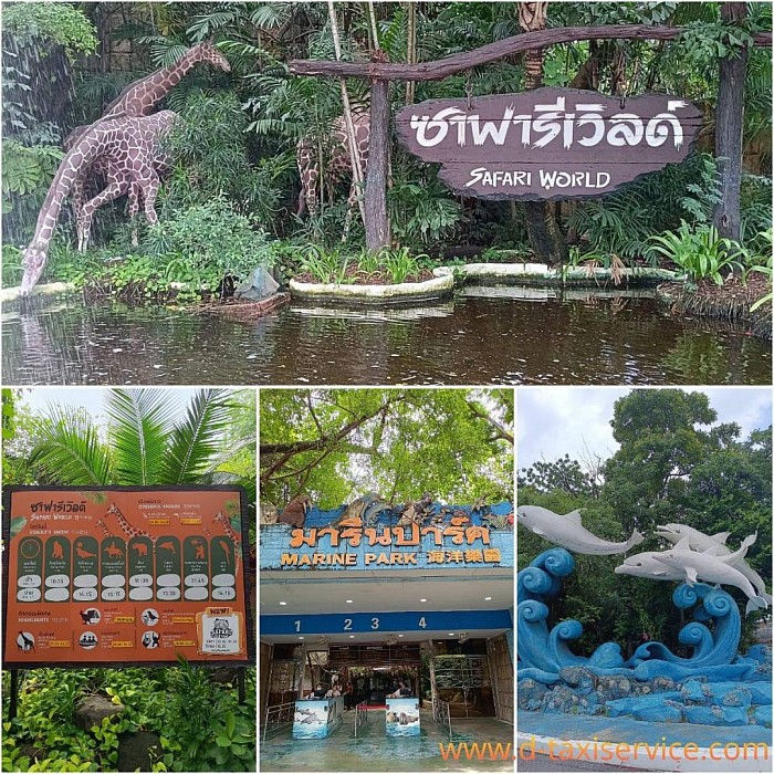 Bangkok Taxi to Safari World